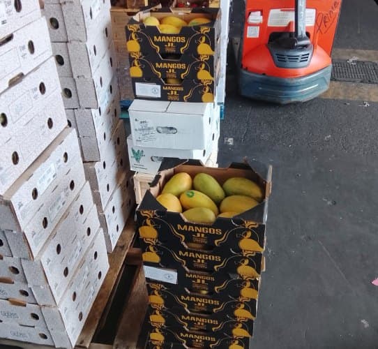 Cajas JL paletizadas