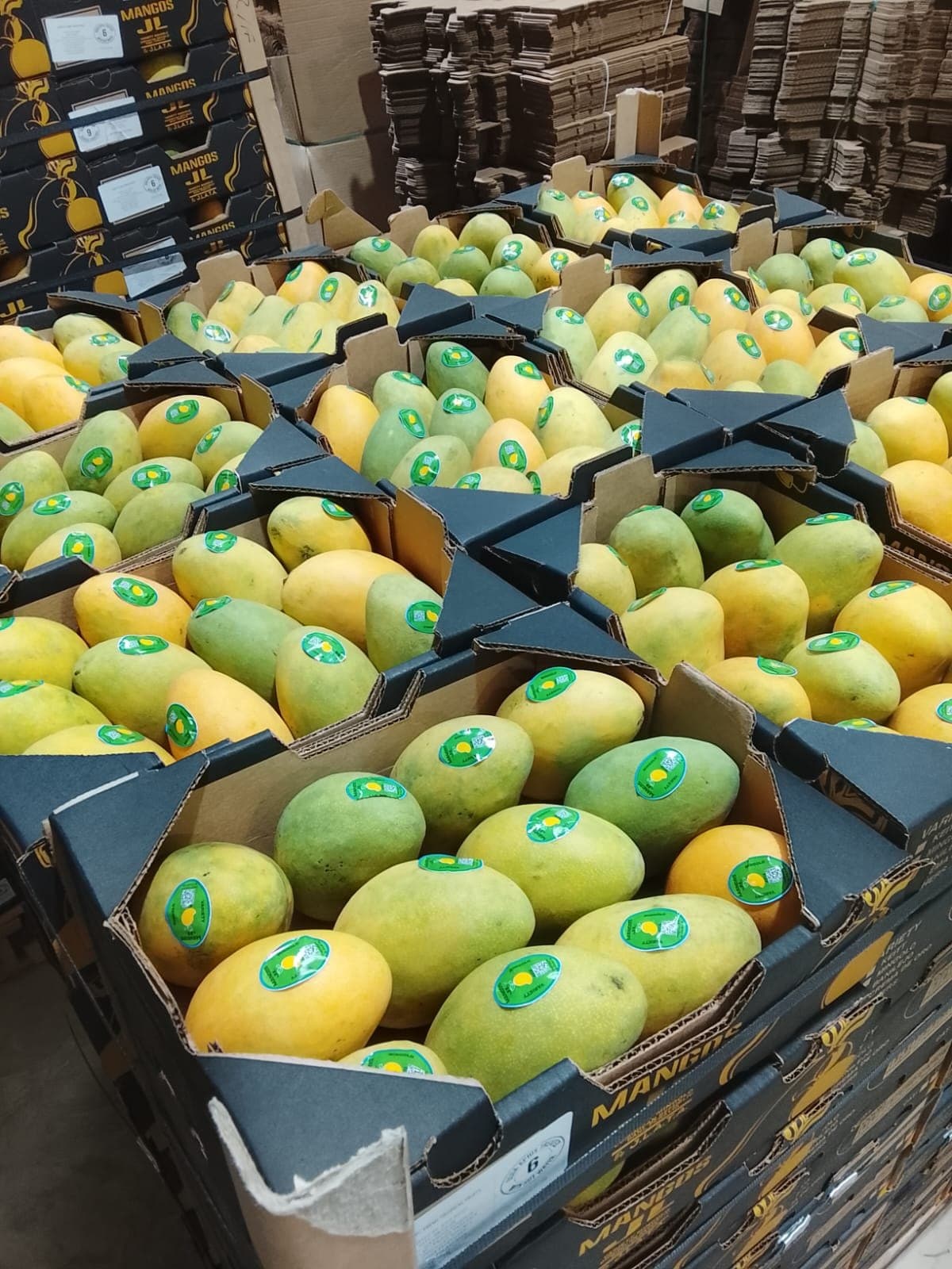 Mangos con etiqueta en cajas JL