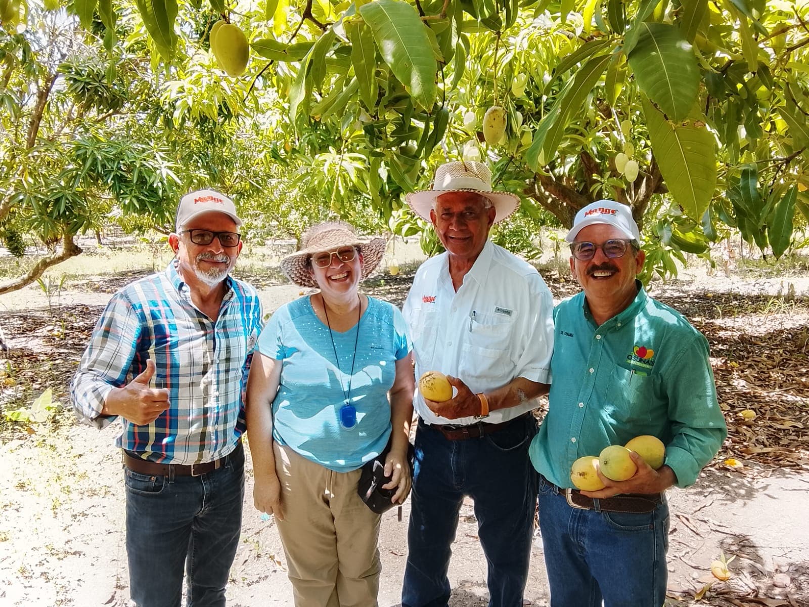 With National Mango Board specialists in Baní
