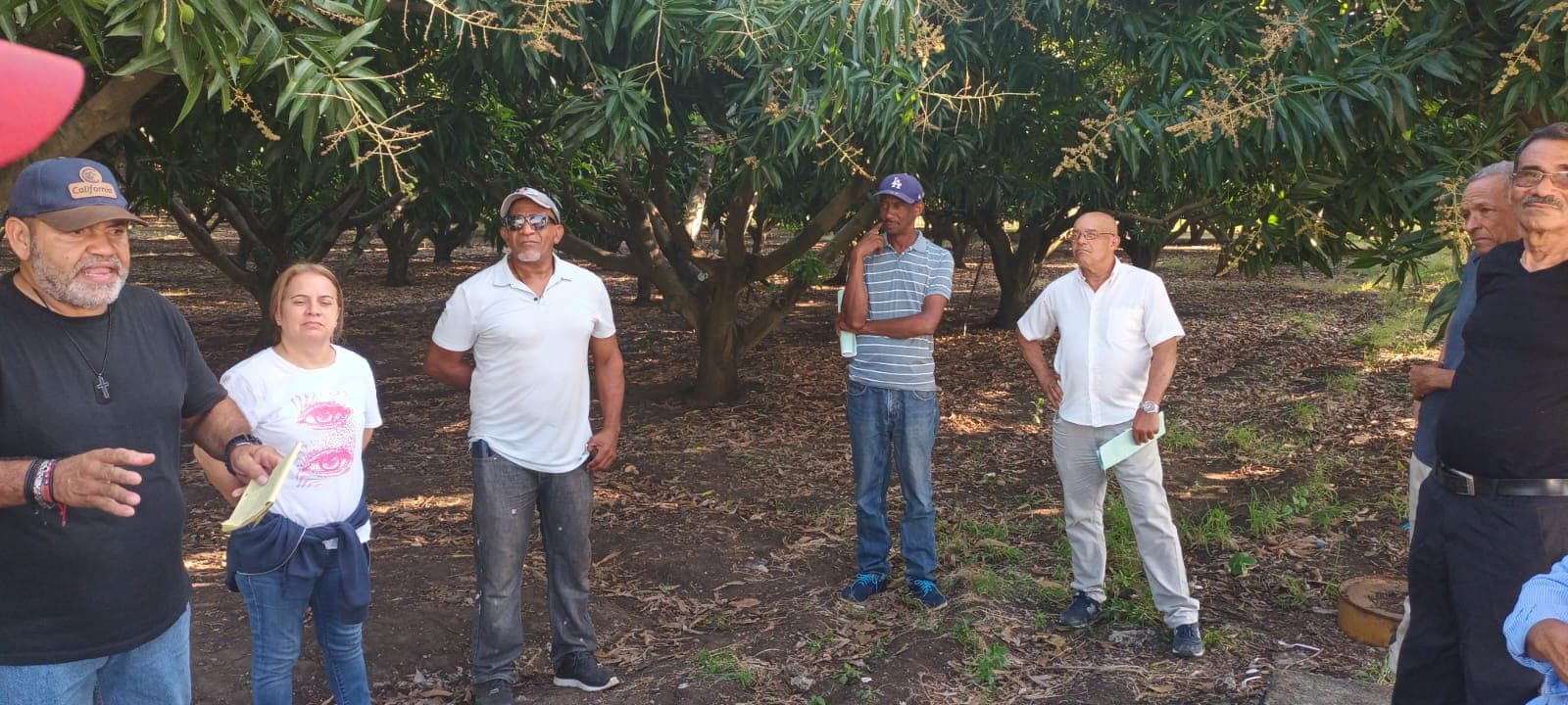 Field team on the farm