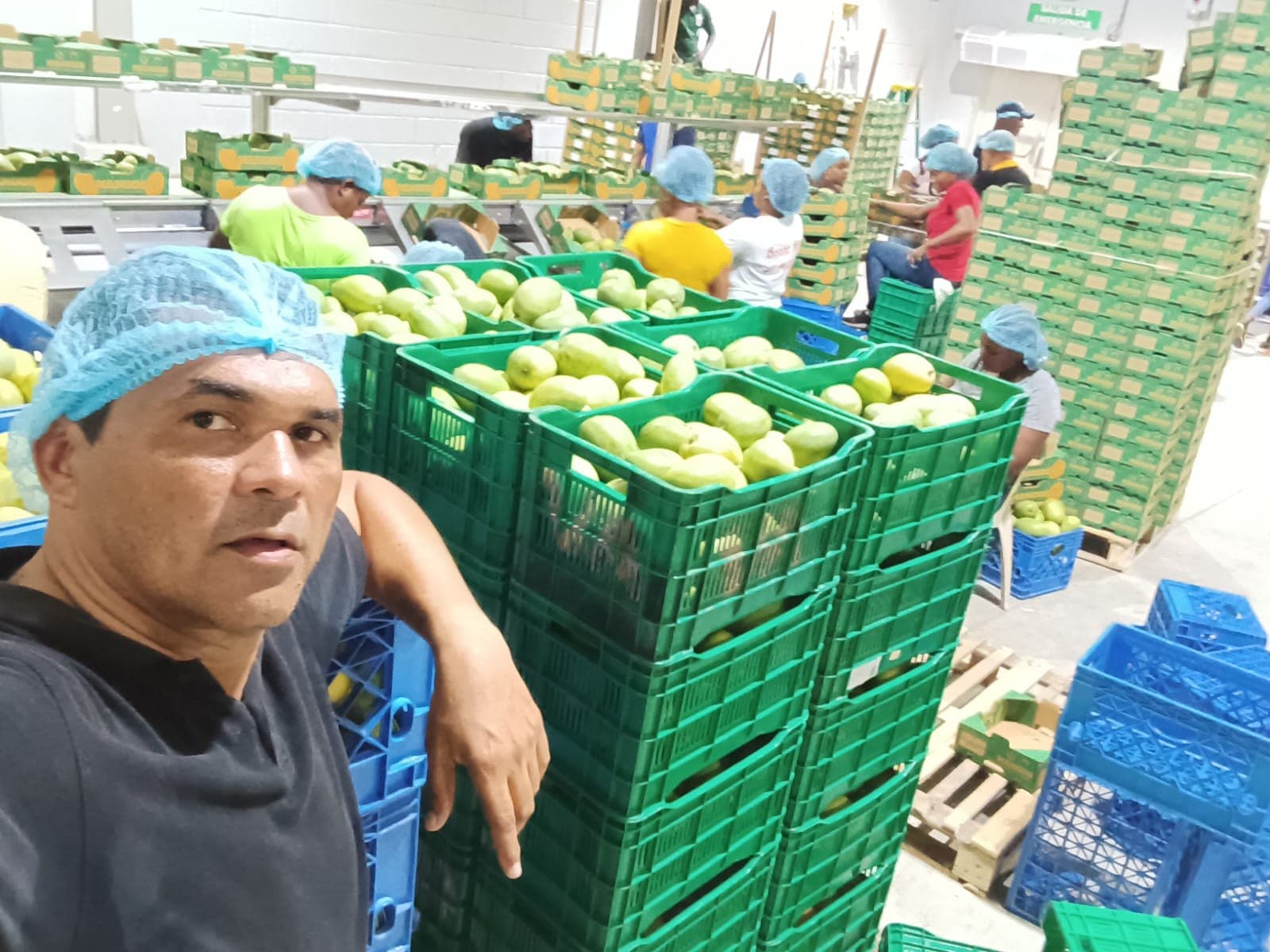 José Luis Arias at the packing plant