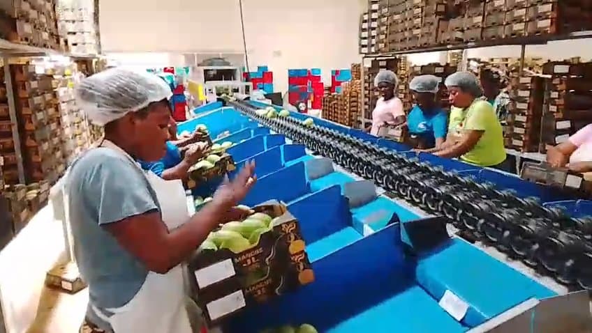 Packing line