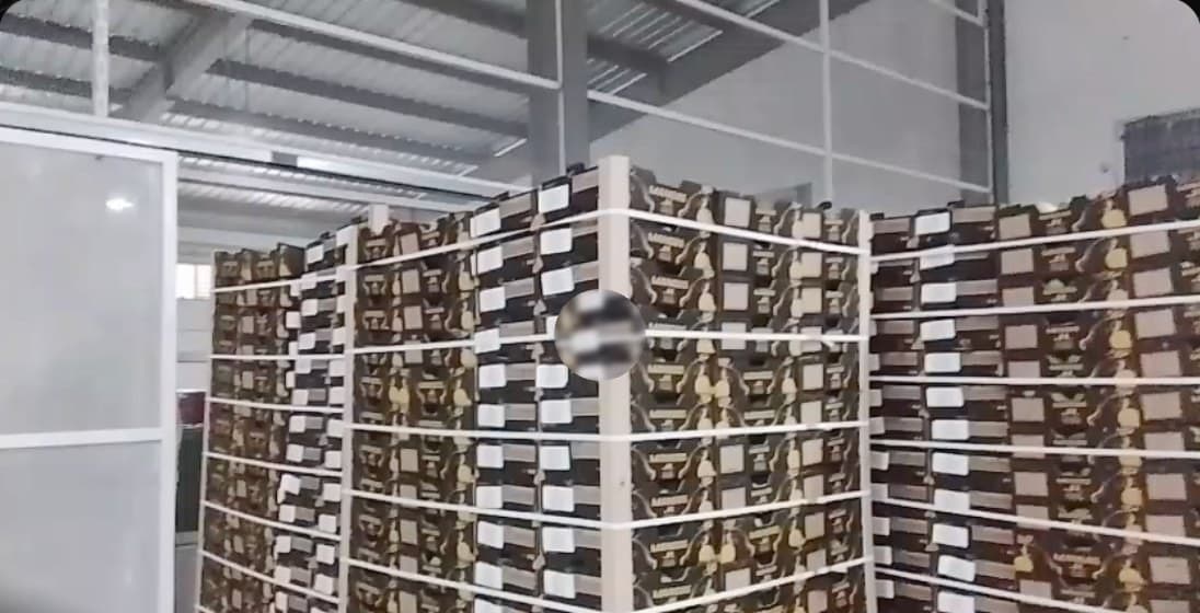 Pallets of JL boxes ready for export