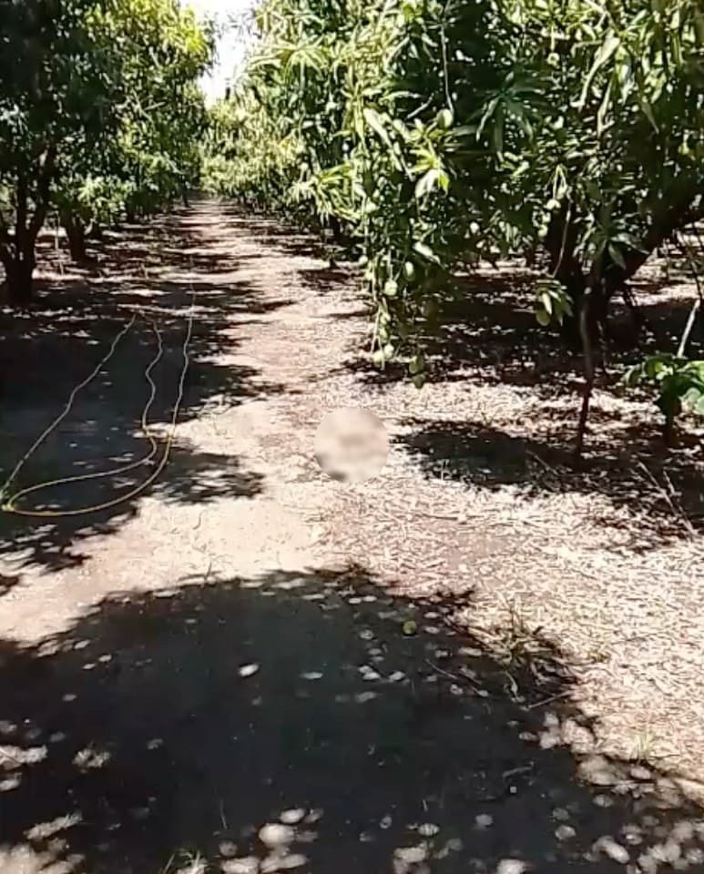 Farm track in Baní